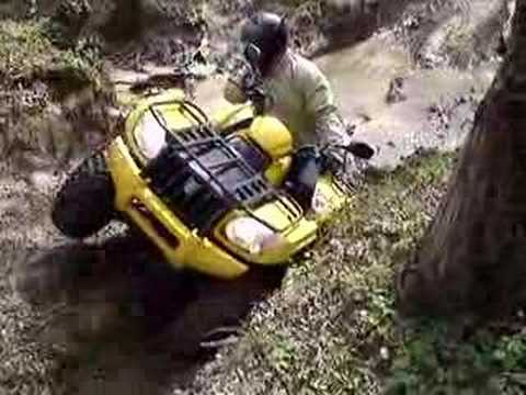 Vuger potočić - King