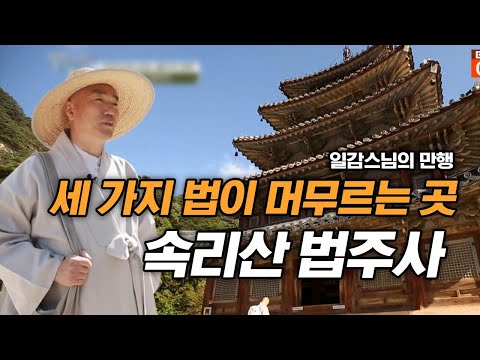 , title : '세 가지 법이 머무르는 곳 속리산 법주사 [일감스님의 만행]'