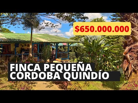 Finca pequeña en venta Córdoba Quindío a sólo 2.5 kilómetros de la plaza principal