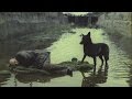 Stalker Trailer New Release