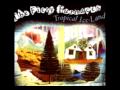 The Fiery Furnaces - Tropical Iceland [Album ...