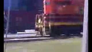 preview picture of video 'Louisiana&Delta Railroad'