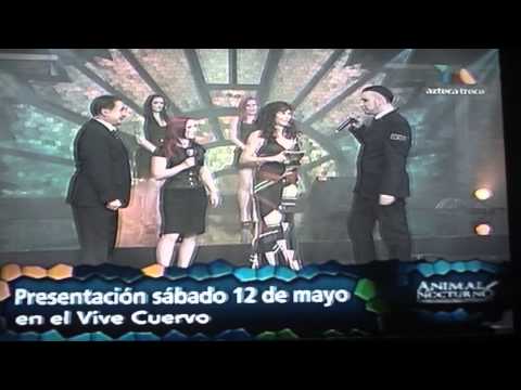 BlutEngel - Interview Animal Nocturno