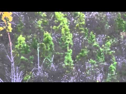 Nice 7 Point Rattled In