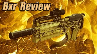Bxr Review, a weapon of its own archetype. | Destiny 2