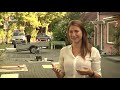 Kunst tegen snelheidsduivels in Nieuwegein [RTV Utrecht]
