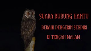 Download lagu SUARA BURUNG HANTU BURUNG MALAM YAKIN MAU DENGERIN... mp3
