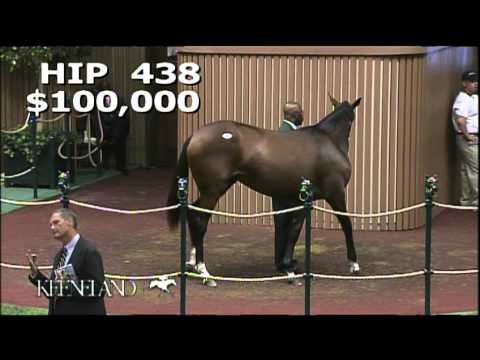 2013 September Yearling Sale - Hip 438, Malibu Moon- Shop Again filly