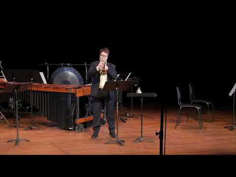 Night Sun Journey - Meg Bowles