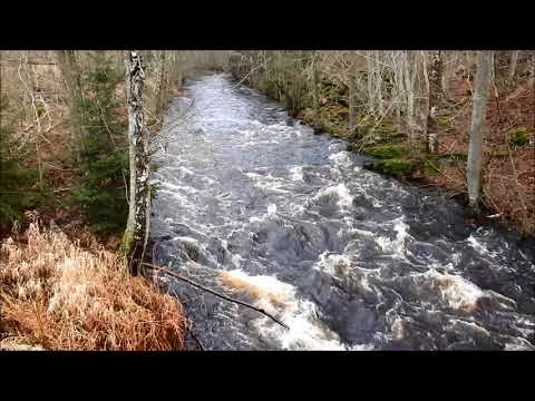 The mighty Nättraby river