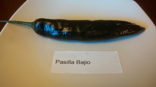 The "Pasillo Bajio" a Pod Review for Judy of Pepperlover.com