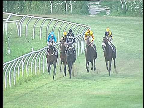 Galoppo 12/07/2017 - 5ª corsa