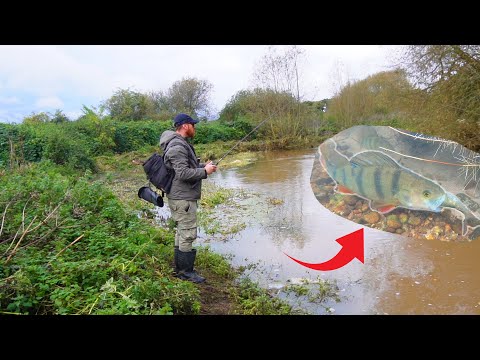THIS Is Why You Fish a River In FLOOD!