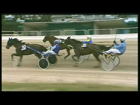 Trotto 02/02/2020 - 4ª corsa