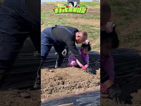 おいしいジャガイモを栽培するためのヒントとテストされた方法のガイドをお楽しみください  庭園