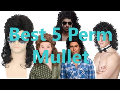 Best 5 Perm Mullet | Rubie's Humor, Costumes For All Occasions, Topcosplay Men Wigs