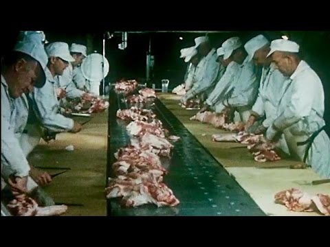 "This is Hormel" 1965 Meat Processing Plant Tour - Preview