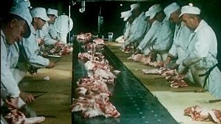 This is Hormel 1965 Meat Processing Plant Tour - Preview