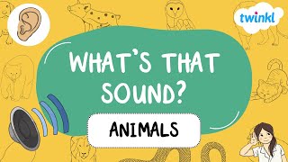🐈🔊👂 What's That Sound? Animal Sounds for Kids | Twinkl USA