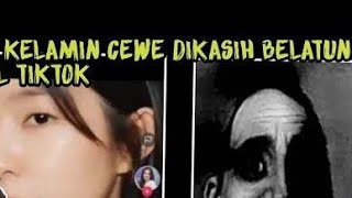 Why Belatung TikTok is trending? - belatung di tiktok link