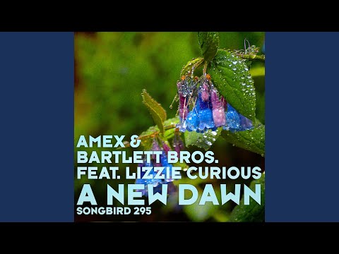 A New Dawn (Fabio XB Rework)