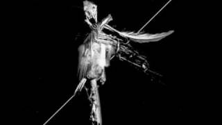 Sandoz - White Darkness