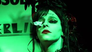 Harem of Oddities Saints and Snakes