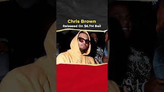 Chris Brown Released On $6.7M Bail