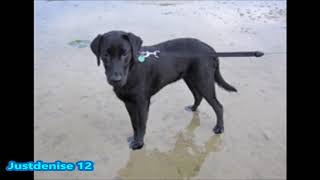 Download lagu Justdenise - my mix (2) mp3