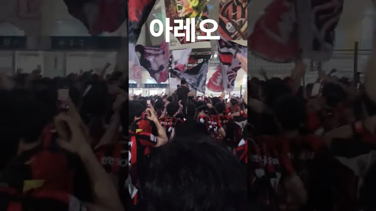 FC서울 촤애 응원가 '아레오' #k리그 #축구 #fc서울 #shorts