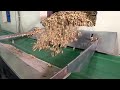 Proses Pembuatan Kacang Dipabrik Dua Kelinci