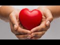 Meri Jindgi Me Sirf Tum Ho Sanam Whatsapp Status Video
