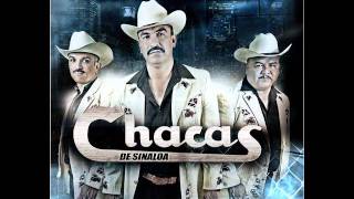 Chacas de Sinaloa - El Sheriff De Chocolate