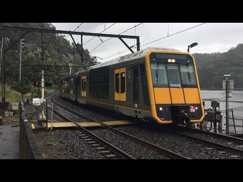 Adam's Trains Vlogs: Rare Sight - A Tangara at Wondabyne + Trains at Wondabyne Part 2