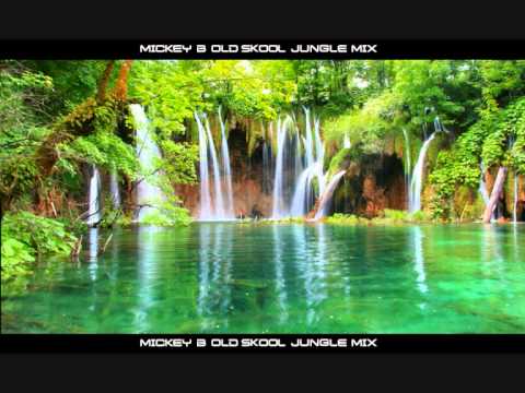 1994 Old Skool Jungle Mix - Mickey B