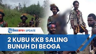 KKB Pecah! 2 Kubu Saling Serang di Distrik Beoga hingga Sejumlah Anggota Tewas, Ini Penyebabnya 2