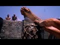 Waterworld Trailer