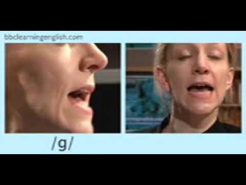 تعليم مخرج الحروف الانجليزي تعليم انجليزي