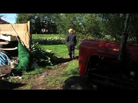 download lagu mp3 mp4 What Is Sustainable Food, download lagu What Is Sustainable Food gratis, unduh video klip What Is Sustainable Food