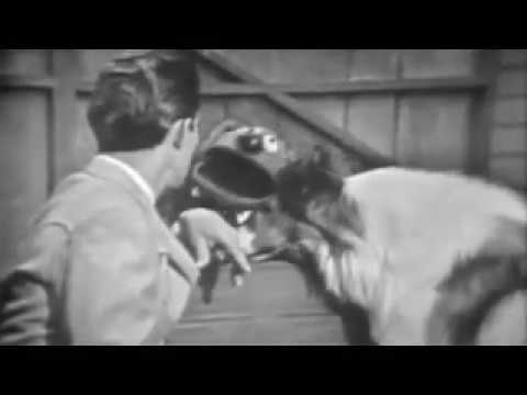 The Jimmy Dean Show - Rowlf Meets Lassie, again (incomplete, clips and pics only)