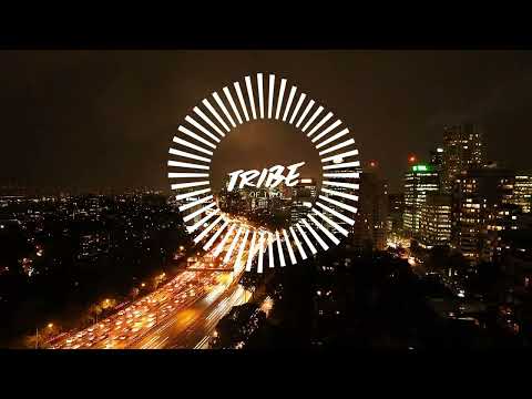 Tribe Of Two - Need To Feel Loved (Lyric Video)