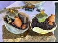 Living Stone Succulent! Lithops!! - Episode 151