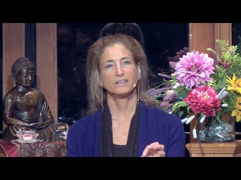 Tara Talks: How Might This Serve Awakening?