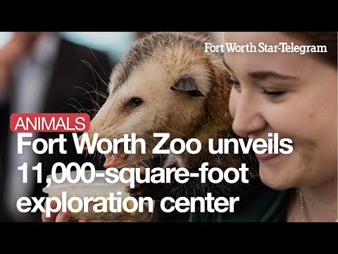 Look Inside Fort Worth Zoo's New Exploration & Learning Center