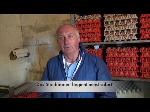 Cumbasil® Mite im Betrieb August Brunkhorst