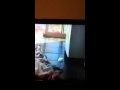 AFV The Monster Is In The Laundry Room