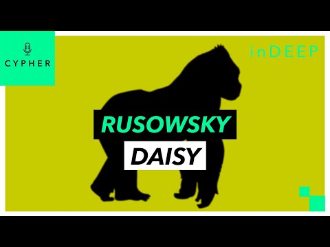 ANÁLISIS y REACCIÓN de "DAISY" de RUSOWSKY