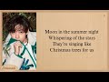 BTS V Christmas Tree Lyrics (그 해 우리는 OST) Our Beloved Summer OST Part 5