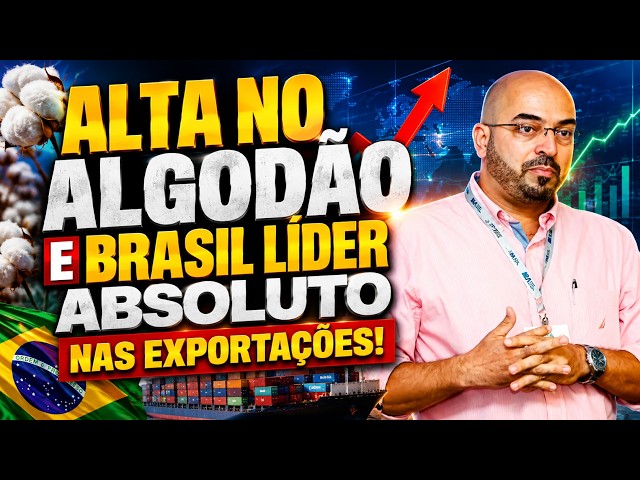 Alta no algodão e Brasil líder absoluto nas exportações!