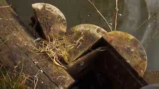 preview picture of video 'Résultat d'une pêche fructueuse avec mon ami Léo/ Vert le Petit /  : Brème, Gardons, Perches etc...'